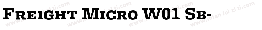 Freight Micro W01 Sb字体转换